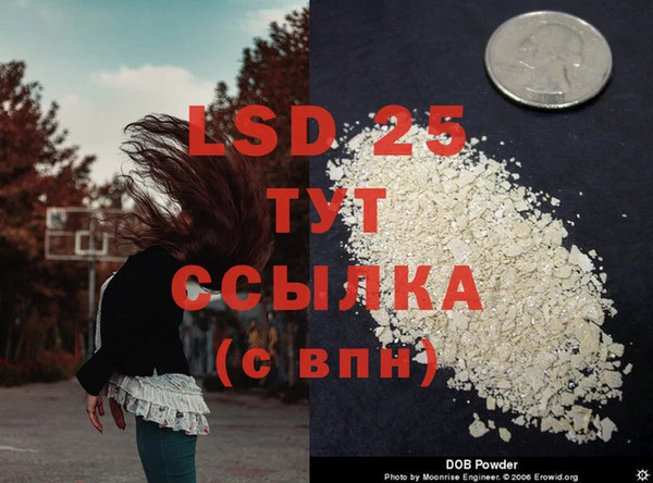 стафф Каменка
