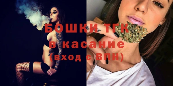 стафф Каменка