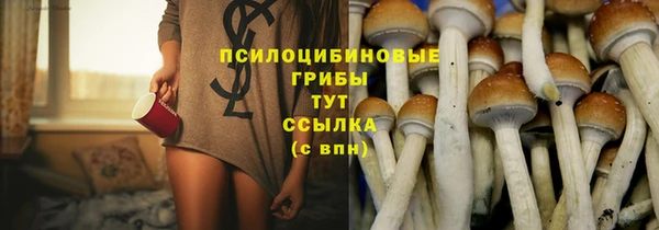 твердый Карпинск