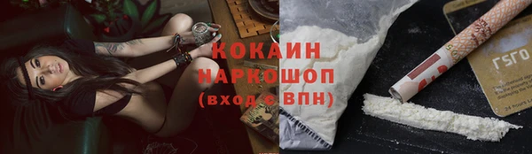 стафф Каменка