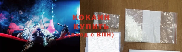 стафф Каменка