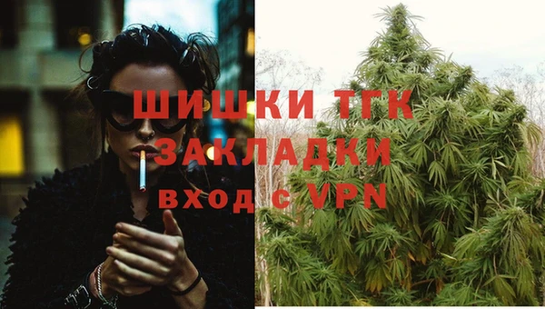 стафф Каменка