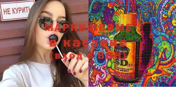 стафф Каменка