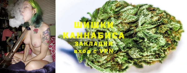 стафф Каменка