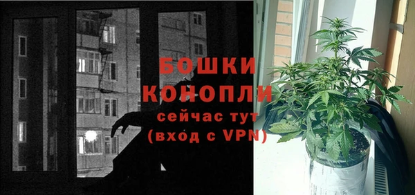 соль ск Каменногорск