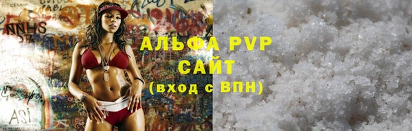 соль ск Каменногорск