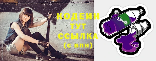 стафф Каменка