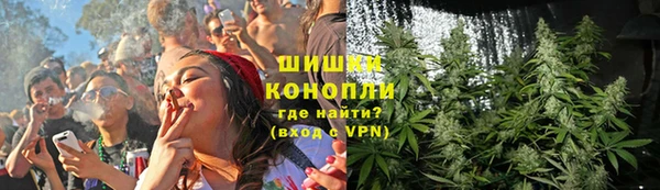 стафф Каменка