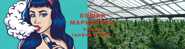 соль ск Каменногорск